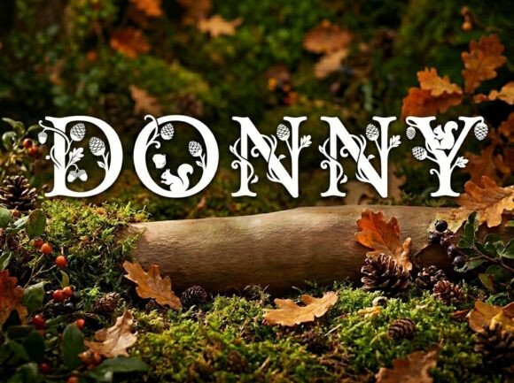 Donny: A Bold Typeface for Unforgettable Visuals